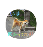 ★がっちゃん★（個別スタンプ：5）