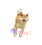 ★がっちゃん★（個別スタンプ：9）