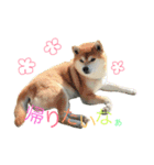 ★がっちゃん★（個別スタンプ：10）