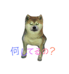 ★がっちゃん★（個別スタンプ：11）