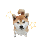 ★がっちゃん★（個別スタンプ：14）