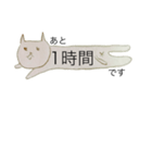 ねこ 時間+α（個別スタンプ：5）