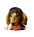 ロイたんすたんぷ②（個別スタンプ：3）