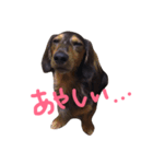 ロイたんすたんぷ②（個別スタンプ：6）
