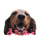 ロイたんすたんぷ②（個別スタンプ：7）