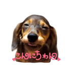 ロイたんすたんぷ①（個別スタンプ：1）