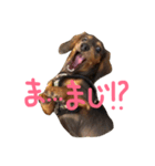 ロイたんすたんぷ①（個別スタンプ：4）