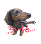 ロイたんすたんぷ①（個別スタンプ：7）