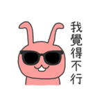 Rabbit male（個別スタンプ：24）