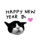 love me love my cat : sweet and true（個別スタンプ：20）