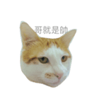 FAT CAT say something（個別スタンプ：3）