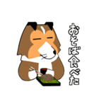 年末年始×犬（個別スタンプ：7）