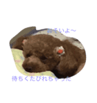 ノンノちゃんの日常（個別スタンプ：7）