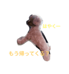 ノンノちゃんの日常（個別スタンプ：8）