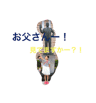 山内姉弟でし。（個別スタンプ：13）