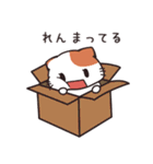 れん専用 名前スタンプ【貝ねこ】（個別スタンプ：22）