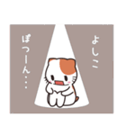 よしこ専用 名前スタンプ【貝ねこ】（個別スタンプ：21）