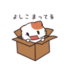 よしこ専用 名前スタンプ【貝ねこ】（個別スタンプ：22）