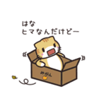 はな専用 名前スタンプ【貝ねこ】（個別スタンプ：23）