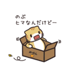 のぶ専用 名前スタンプ【貝ねこ】（個別スタンプ：23）