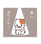 あいちゃん専用 名前スタンプ【貝ねこ】（個別スタンプ：21）