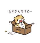 あいちゃん専用 名前スタンプ【貝ねこ】（個別スタンプ：23）