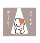 まつもとさん専用 名前スタンプ【貝ねこ】（個別スタンプ：21）