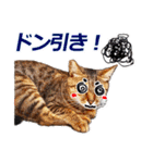 猫の町meow meowも狂った(日本語)（個別スタンプ：14）