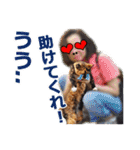 猫の町meow meowも狂った(日本語)（個別スタンプ：16）