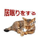 猫の町meow meowも狂った(日本語)（個別スタンプ：20）