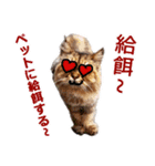 猫の町meow meowも狂った(日本語)（個別スタンプ：21）