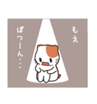 もえ専用 名前スタンプ【貝ねこ】（個別スタンプ：21）