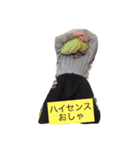 wan wan  wan life（個別スタンプ：3）