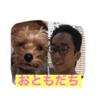 wan wan  wan life（個別スタンプ：19）