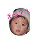 wan wan  wan life（個別スタンプ：22）