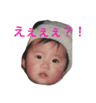 wan wan  wan life（個別スタンプ：29）