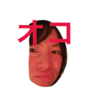 wan wan  wan life（個別スタンプ：30）