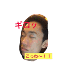 wan wan  wan life（個別スタンプ：37）