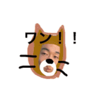 wan wan  wan life（個別スタンプ：39）