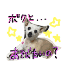Will part2（個別スタンプ：3）