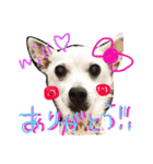 Will part2（個別スタンプ：8）