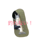 山女魚ちゃーん（個別スタンプ：2）