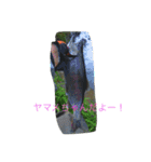 山女魚ちゃーん（個別スタンプ：3）