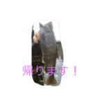 山女魚ちゃーん（個別スタンプ：4）