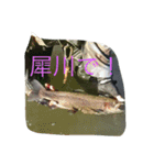 山女魚ちゃーん（個別スタンプ：5）