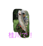 山女魚ちゃーん（個別スタンプ：14）