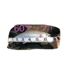 山女魚ちゃーん（個別スタンプ：16）