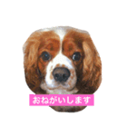 レックちゃん（個別スタンプ：6）