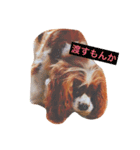 レックちゃん（個別スタンプ：7）