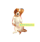 レックちゃん（個別スタンプ：8）